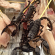Illustration for article titled Fried Scorpion? Osaka Restaurant Serves Up Unusual Eats